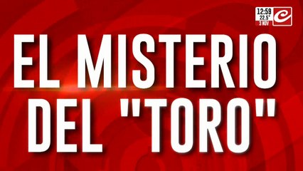 El misterio del "toro": incautaron 450 kilos de cocaína