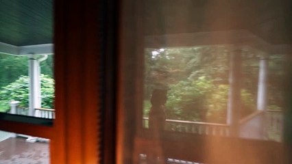 Presence, le film d'horreur de Steven Soderbergh dévoile sa bande-annonce (vo)