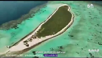 اكتشاف تاريخي.. أكبر موقع تعشيش للسلاحف في السعودية