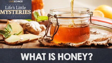 What Is Honey? Discover Its True Nature and Uses 🍯