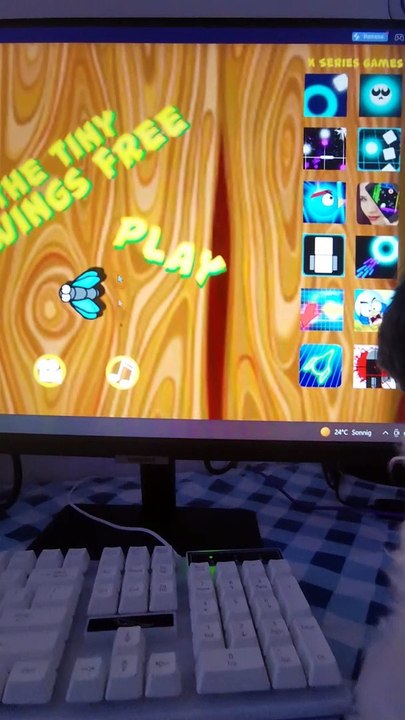 Bubico Played Super Bug Killer : Fly Slice