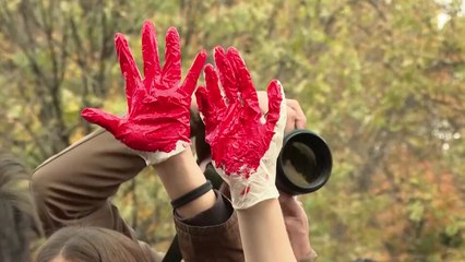 세르비아 '14명 사망' 기차역 지붕 붕괴 참사에 분노의 시위 / YTN