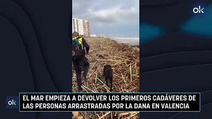 El mar empieza a devolver los primeros cadáveres de las personas arrastradas por la DANA en Valencia