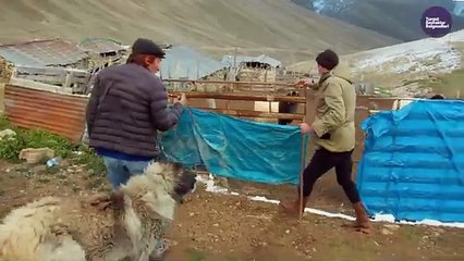 Beyazdan Yeşile Yolculuk _ Belgesel Film