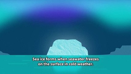 How do we know that sea ice at the poles is melting?