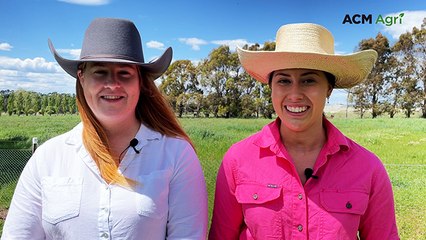 Most influential NSW Angus studs in 2024 season revealed: The Land's Last Lot