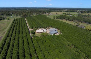 Glendamaia Park, Donnybrook, Qld | November 4, 2024 | Farmonline