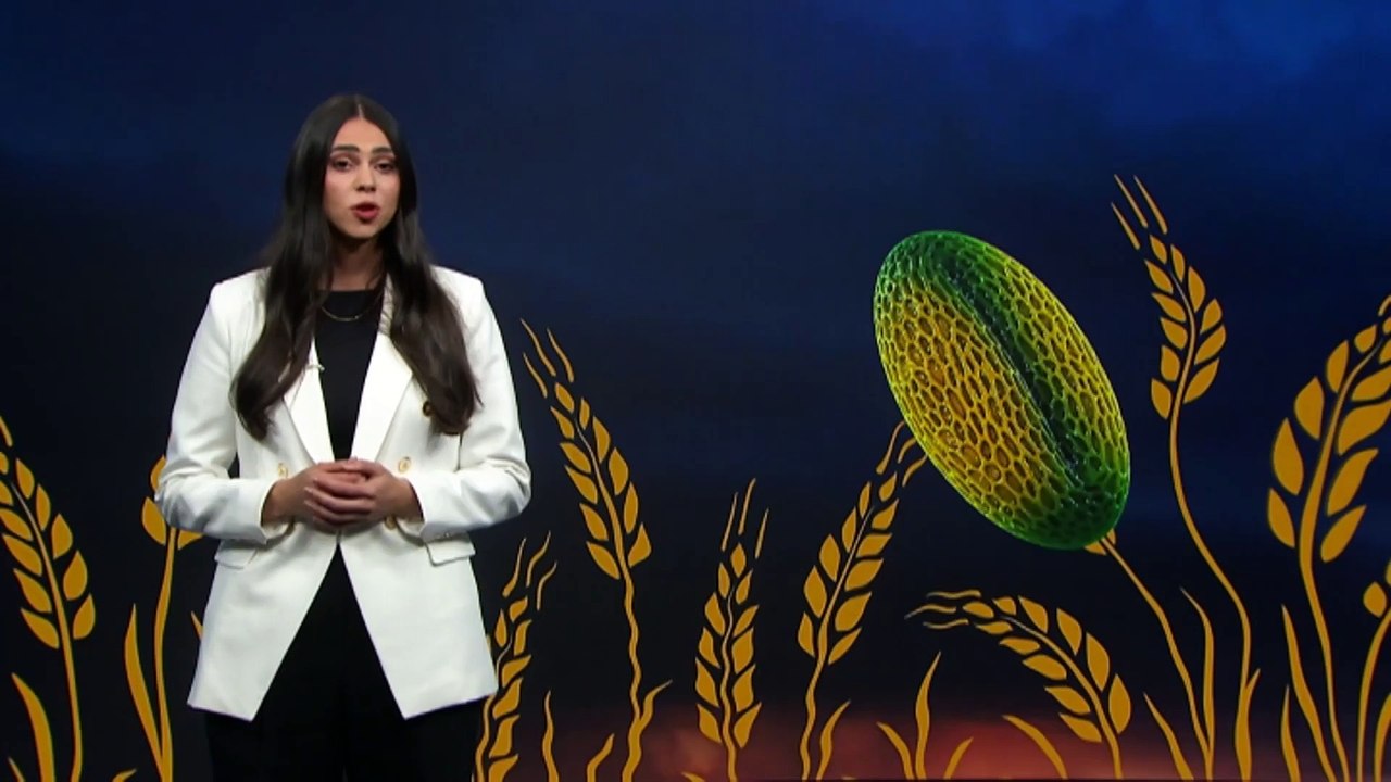 Experts in Victoria warn of ‘thunderstorm asthma’, an uncommon, but potentially deadly ailment suffered during extreme weather events