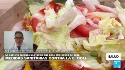 ¿En qué consiste la bacteria E. Coli y qué puede hacerle al organismo humano?