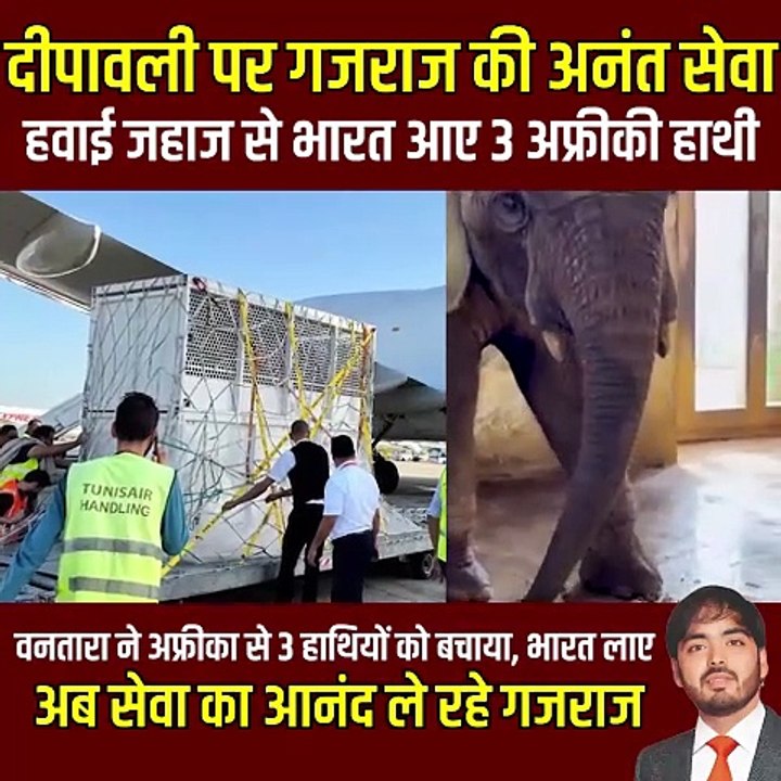 वन्यजीव के रक्षक अनंत अंबानी