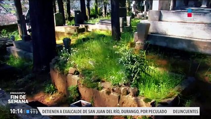 Leyendas y misterio en el Panteón Inglés de Real del Monte, Hidalgo