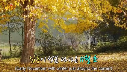 (ENG) Knowing Brother (2024) Ep 457 EngSub