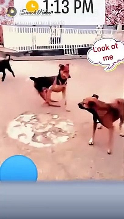 SNACK VIDEOS