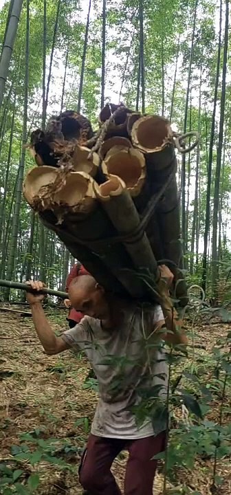 WeChat_20241104135125