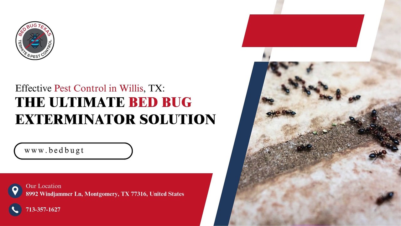 Effective Pest Control in Willis, TX The Ultimate Bed Bug Exterminator SOLUTION
