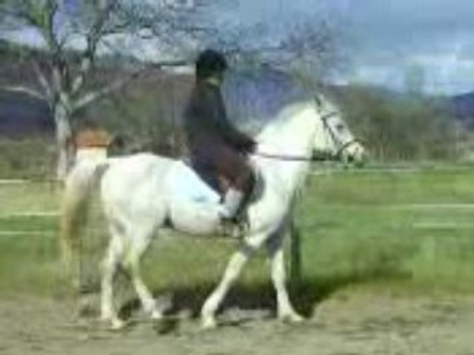 Mon namoureux