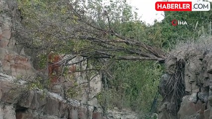 Deprem Tarlayı İkiye Bölmüş: Devasa Yarık Görenleri Ürkütüyor