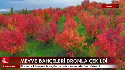 Bursa’daki meyve bahçeleri, sonbahar renklerine büründü