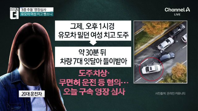 ‘8중 추돌’ 운전자 영장심사…유모차 여성 치고 뺑소니