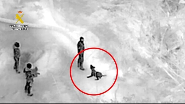 Así localiza un perro de la Guardia Civil el cadáver de una de las víctimas de la DANA