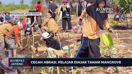 Cegah Abrasi, Pelajar Diajak Tanam Mangrove