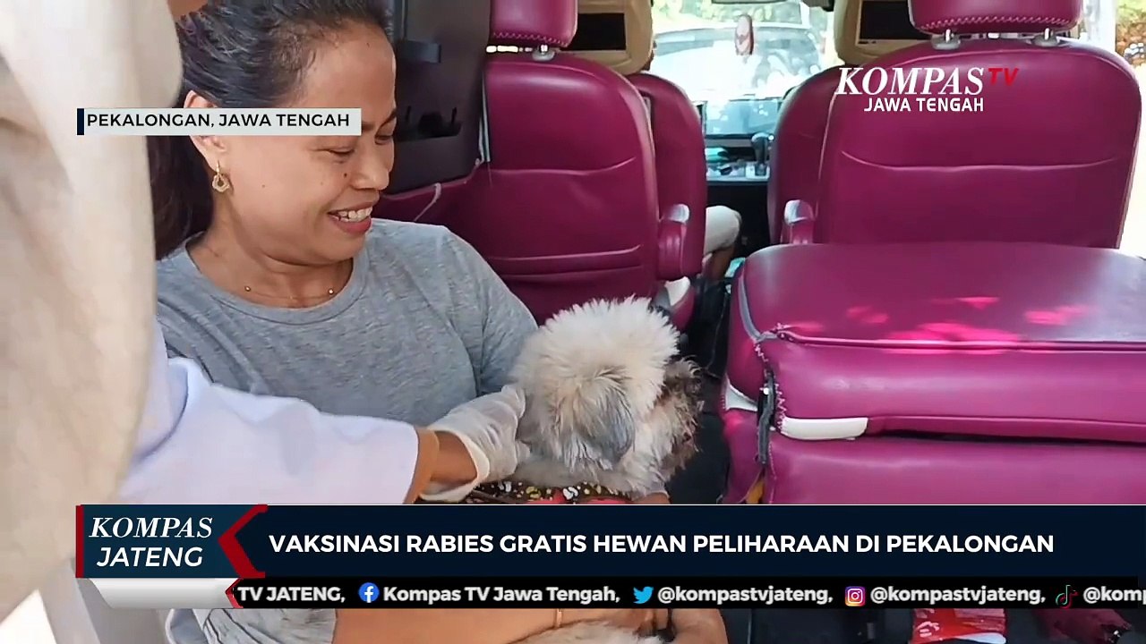 Vaksinasi Rabies Gratis Hewan Peliharaan di Pekalongan