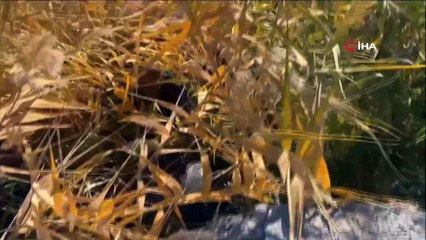 2 yıldır aranıyordu! Firari cinayet zanlısı yakayı ele verdi