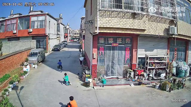 Un cochon sauvage sème la panique dans ce village