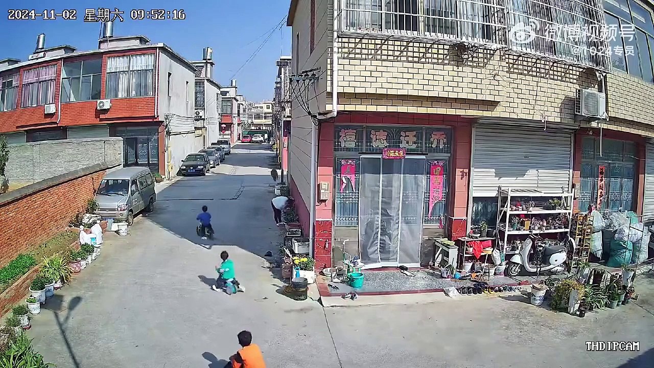 Un cochon sauvage sème la panique dans ce village