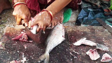 Catla Carp Kuruvilla Cutting In Fish Market - SMN Fish Cutting