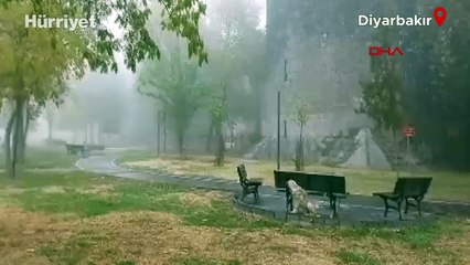 Diyarbakır’da yoğun sis nedeniyle uçak seferleri aksadı