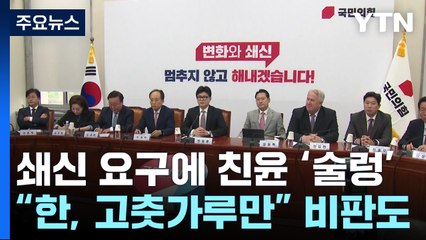 "대통령실 나서야" "한동훈, 고춧가루만"...친윤도 의견 엇갈려 / YTN