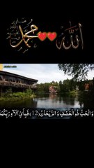 surah Rahman new 2#IslamicShorts #shorts #QuranRecitation #shortfeed #shortsvideo #shortsvideo