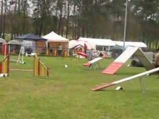 St avold mélanie vixie gpf 160308