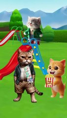 do you like marshmallows_ _cat _cutecat _catvideos _trendingshorts(360P)