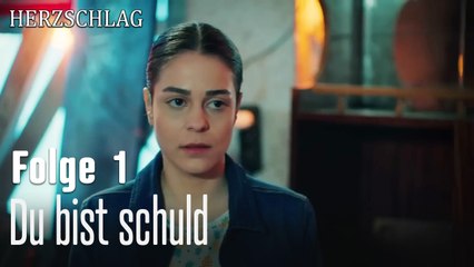 Du bist schuld-Herzschlag Folge 1