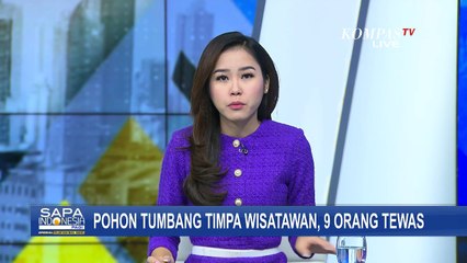 9 Wisatawan Situs Petta Bulu Matanre di Sulsel Tewas Tertimpa Pohon Tumbang