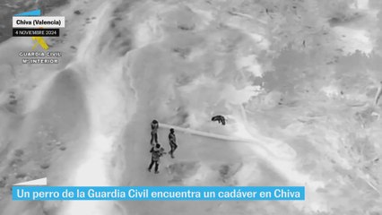 Un perro de la Guardia Civil rescata un cuerpo sin vida en Chiva