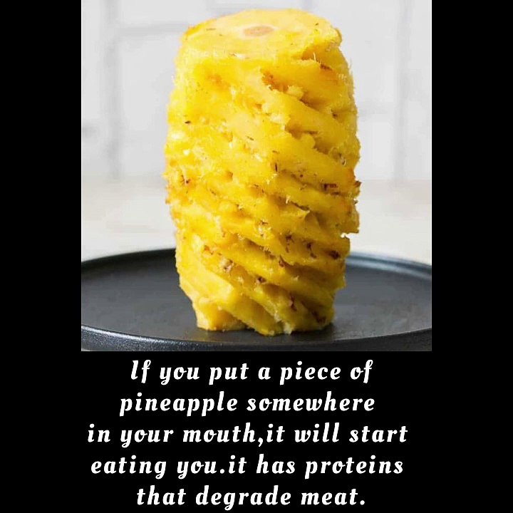 Benifits Of Pineapple video Dailymotion