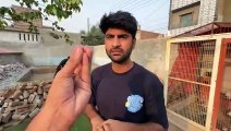 shehar mein dehat ep 78 animal mini zoo 2024 Aj Jugoo Bander Ko Bike Pr Markeet Le Gaiy
