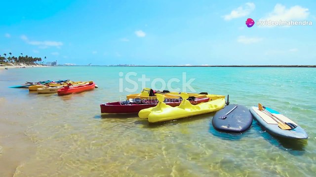 Clear Kayak Rentals and Tours by Mike’s Coastal Expeditions in Naples, Florida