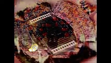 Best Cartoons - The Funshine State #classiccartoons #kids