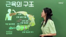 [2025 파이널 체크포인트] 박소현의 생명과학Ⅰ - 02강 전도, 근수축, 방형구법 파이널 체크