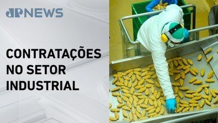 Indústria brasileira cria mais de 400 mil empregos em 2024