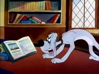 The Coo Coo Bird Dog - 1949 - Color Rhapsody