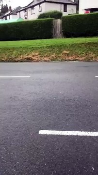 The rogue driver at a Machynlleth car rally captured overtaking cars on a blind corner