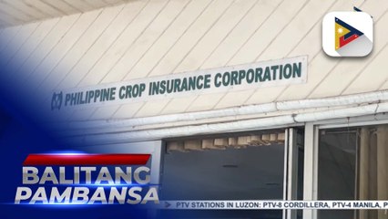 PCIC Regional Office 3A, tumatanggap na ng abiso ng pinsala sa mga magsasakang naapektuhan ng Bagyong Kristine
