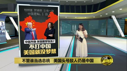 特朗普和贺锦丽目标一致   "中国仍是美国头号敌人"