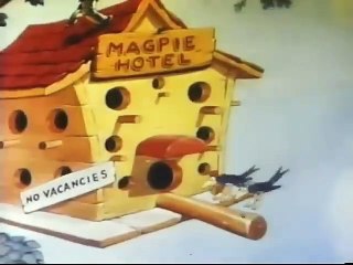 THE TALKING MAGPIES