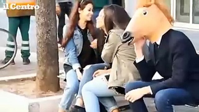 Pescara, lo strano caso del cavallo che gira fra la gente